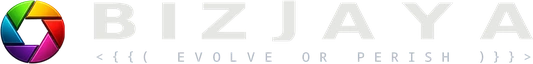 bizjaya.com